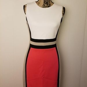 Color Blocked Calvin Klein Dress